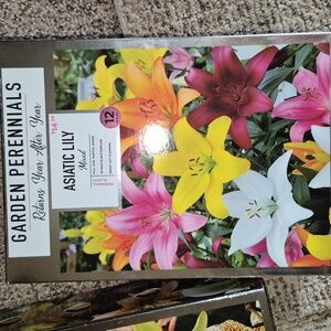 Garden Perennials Asiatic Lilly Mixed Kit. With 12 Different Bulbs
